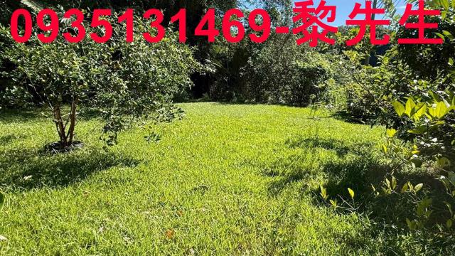 新竹關西農地_道路持份-5