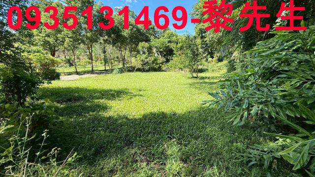 新竹關西農地_道路持份-7