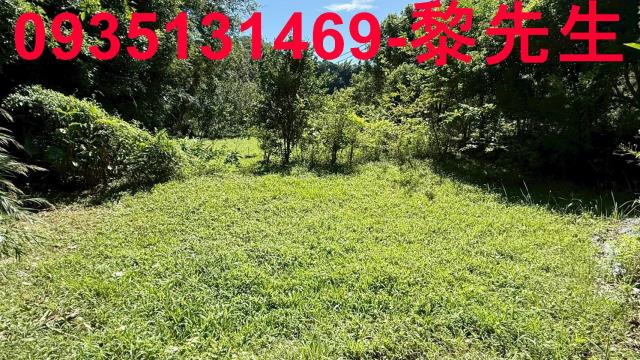 新竹關西農地_道路持份-9