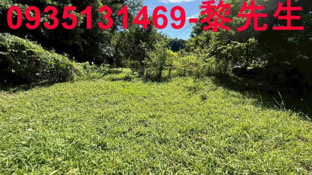 新竹關西農地_道路持份-1