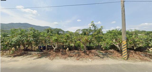 台南南化法拍農地-1