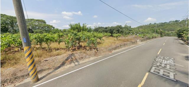 台南南化法拍農地_山坡地-4