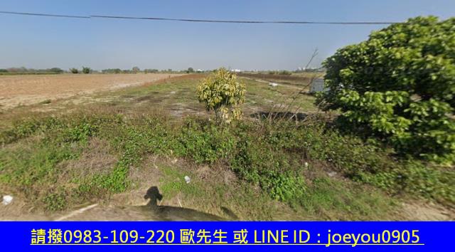 嘉義民雄農地法拍-4