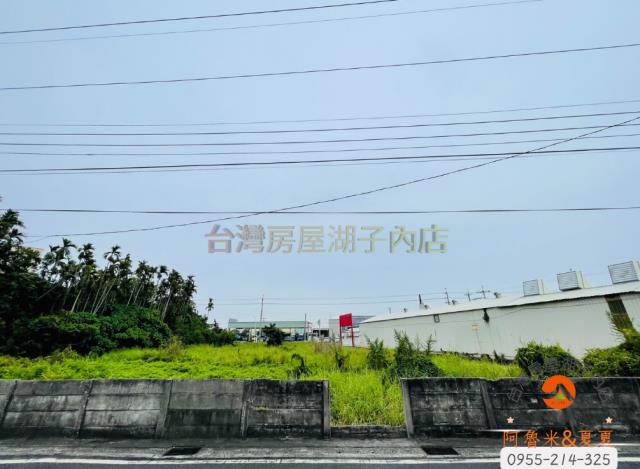 嘉義新港農地-3