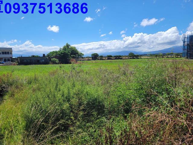 宜蘭宜蘭市農地-14