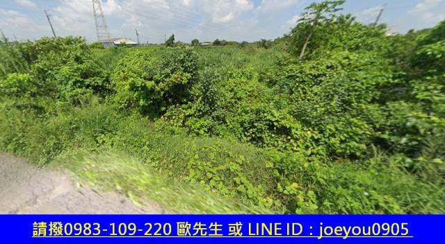 柳營農地拍賣-11