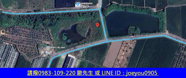 柳營農地拍賣-15