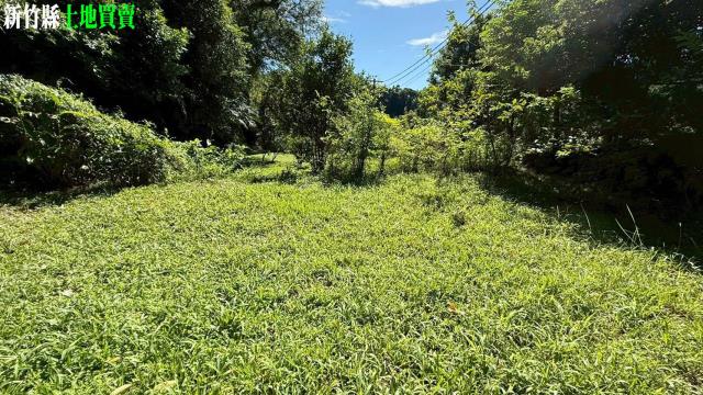 關西農地_山坡地_休閒地-11