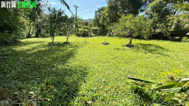 關西農地_山坡地_休閒地-12