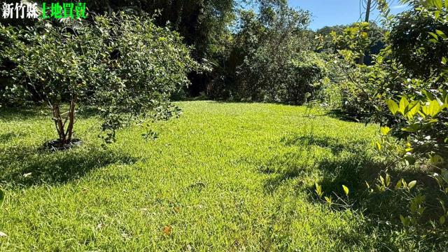 關西農地_山坡地_休閒地-3