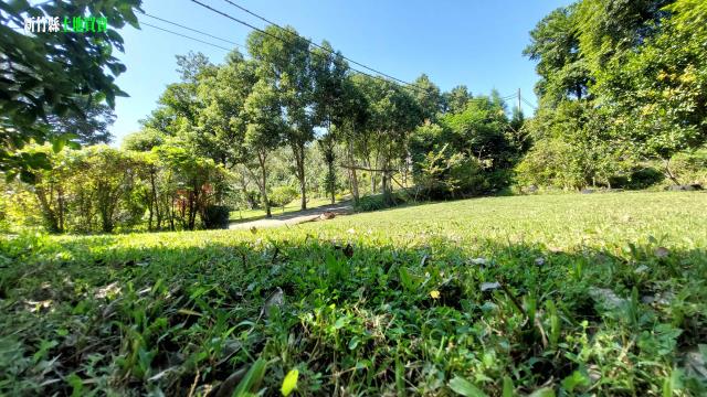 關西農地_山坡地_休閒地-9