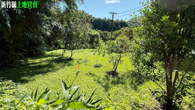 關西農地_山坡地_休閒地-4