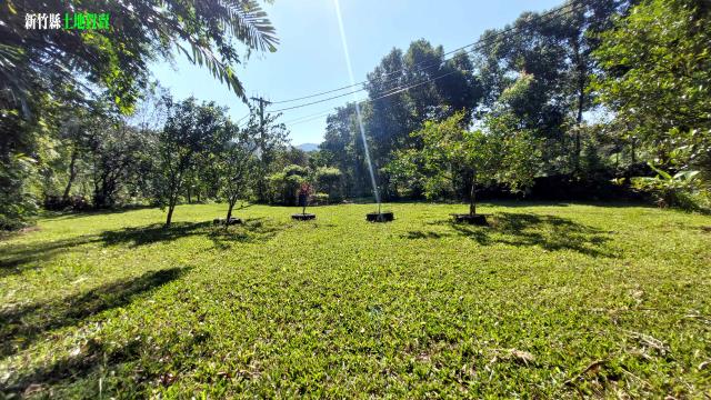 關西農地_山坡地_休閒地-10