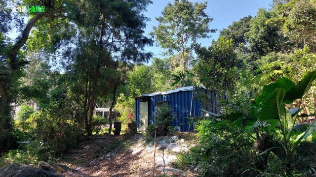 關西農地_山坡地_休閒地-11