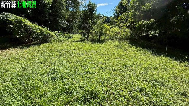 關西農地_山坡地_休閒地-6