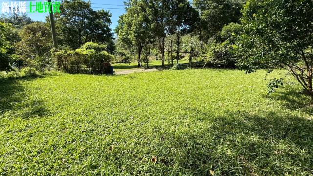 關西農地_山坡地_休閒地-7