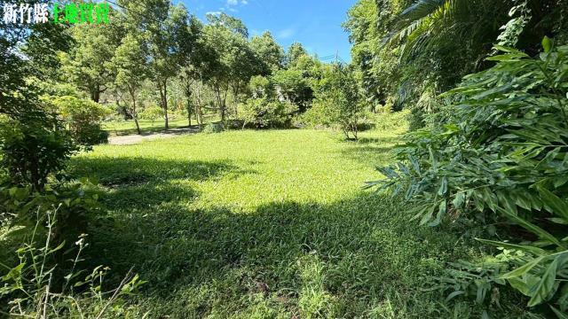 關西農地_山坡地_休閒地-8