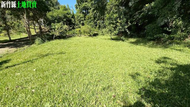 關西農地_山坡地_休閒地-9