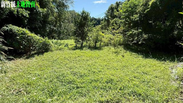 關西農地_山坡地_休閒地-10