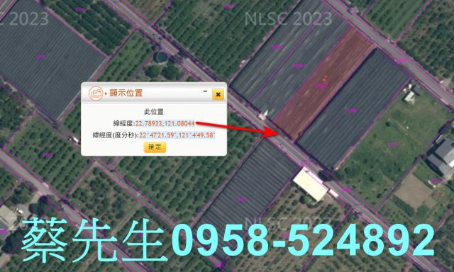 卑南農地拍賣-11