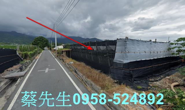 卑南農地拍賣-12