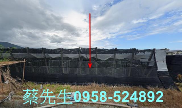 卑南農地拍賣-9