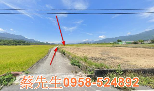 鹿野法拍農地-12