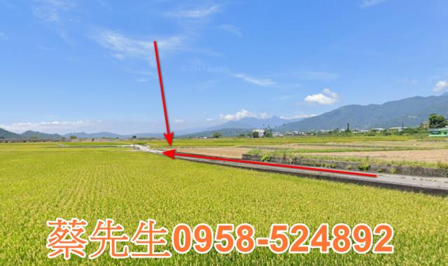 鹿野法拍農地-5