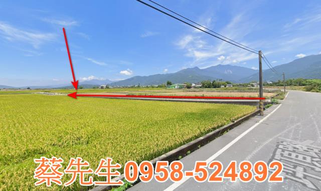 鹿野法拍農地-6