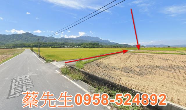 鹿野法拍農地-7