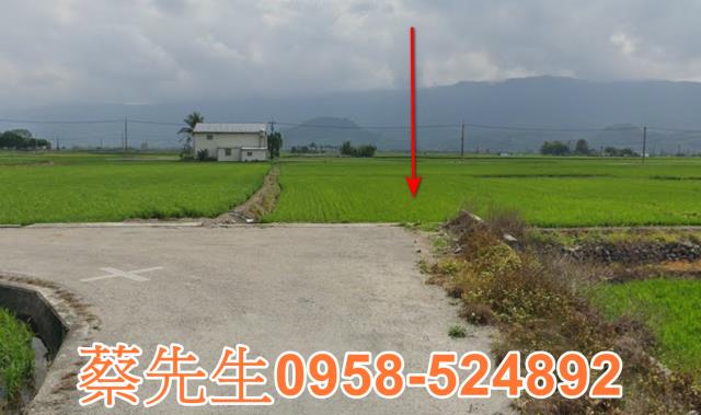 關山農地法拍-6