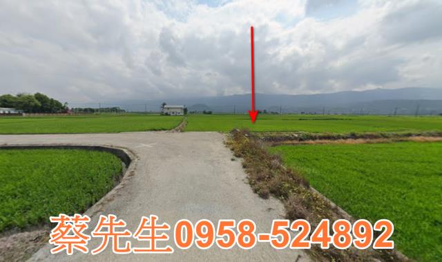 關山農地法拍-7