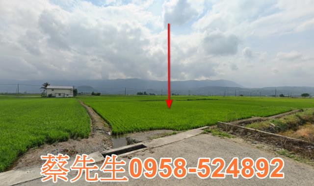 關山農地法拍-9