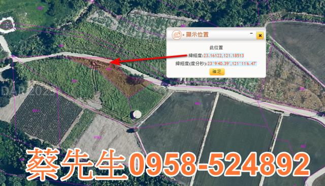 海端農地拍賣-11