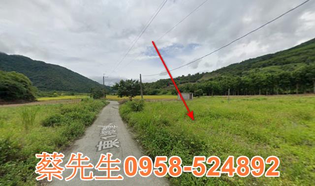 海端農地拍賣-14