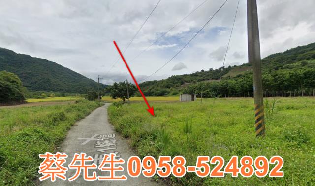 海端農地拍賣-15