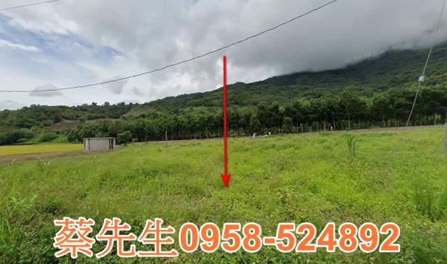 海端農地拍賣-1