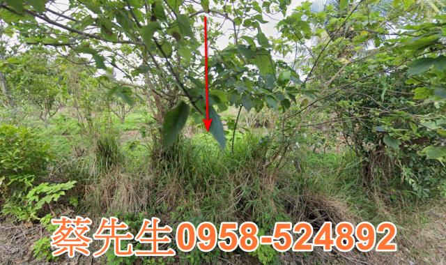 東河法拍農地-5