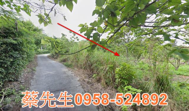 東河法拍農地-6