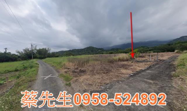 長濱農地法拍-12