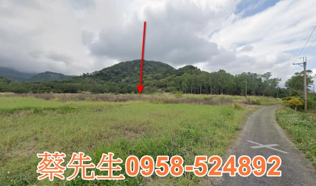 長濱農地法拍-15