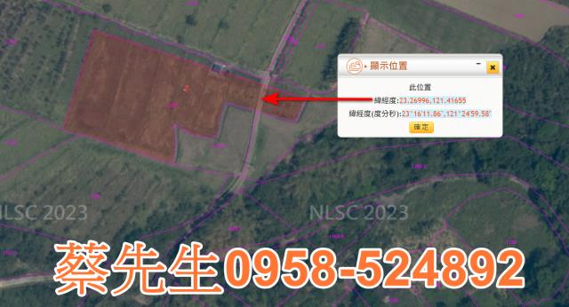 長濱農地法拍-3