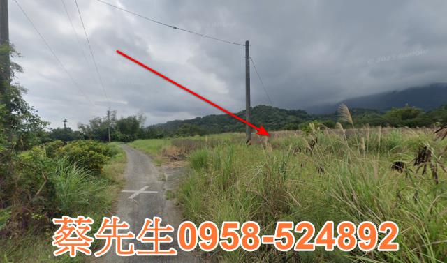 長濱農地法拍-5