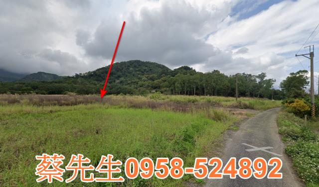 長濱農地法拍-6