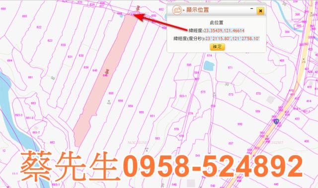 長濱農地拍賣-10