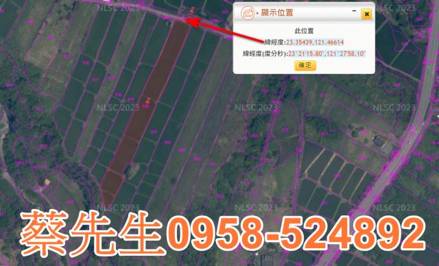 長濱農地拍賣-3