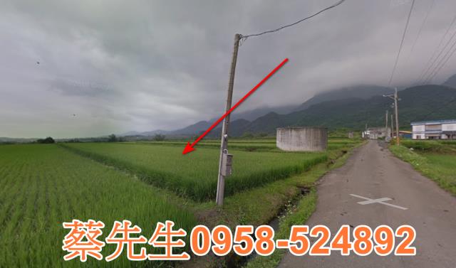 長濱農地拍賣-4