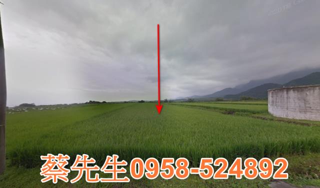 長濱農地拍賣-9