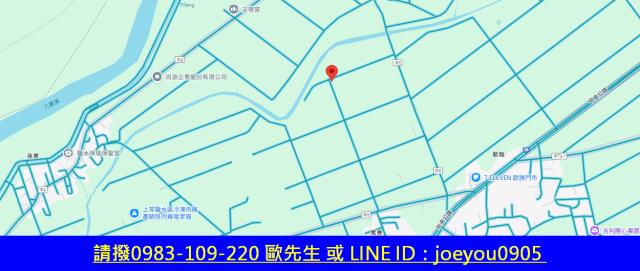 台南鹽水法拍農地-14