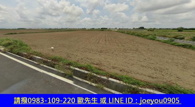 台南鹽水法拍農地-4